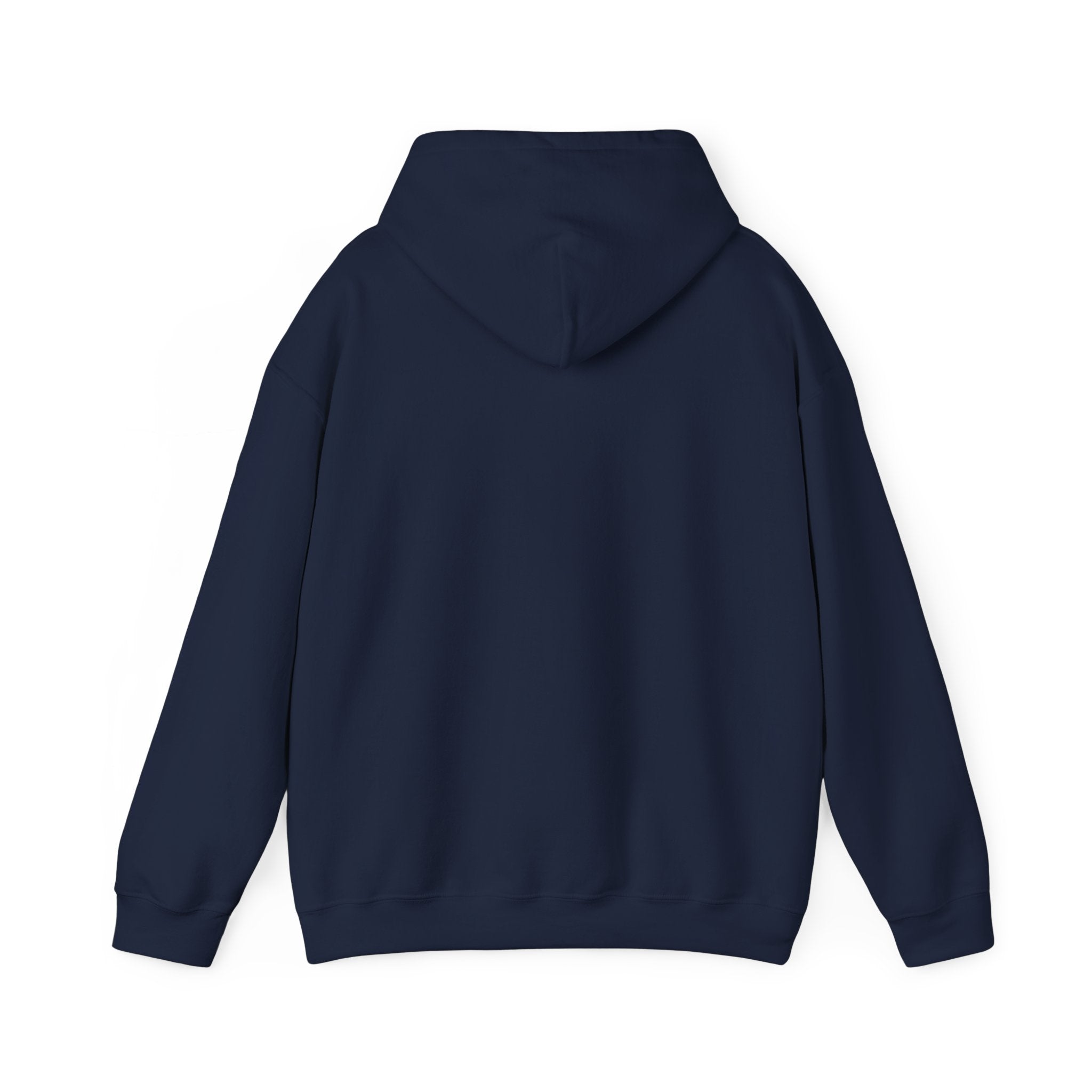 Jesus Is King Hoodie | Christian Easter Resurrection Sweatshirt