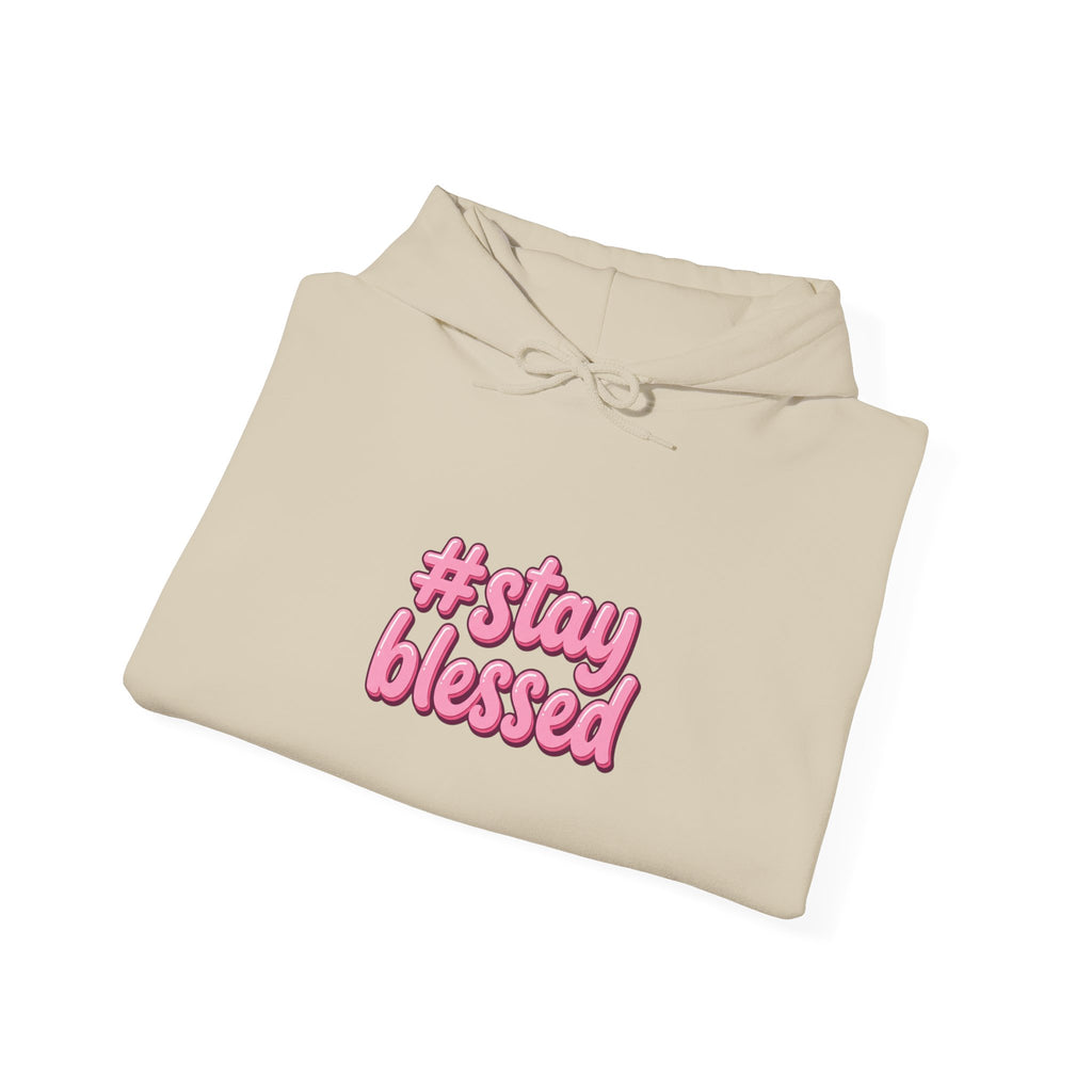 Stay Blessed Hoodie | Christian Easter sweatshirt, pastel faith apparel