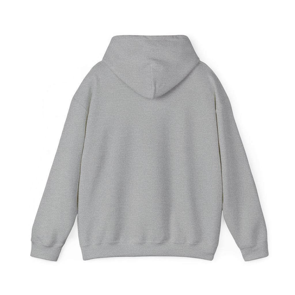 Jesus Is King Hoodie | Christian Easter Resurrection Sweatshirt